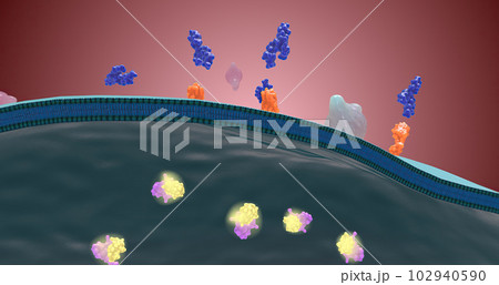 Platelet activation and aggregation play an important role in occlusive vascular events Platelet activation and aggregation play an important role in occlusive vascular events 102940590