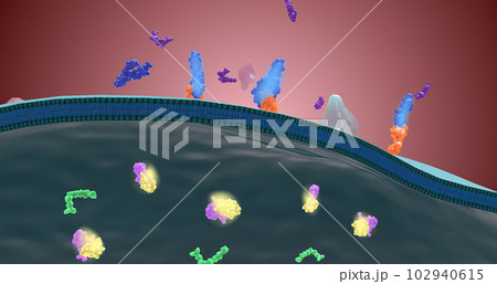 Platelet activation and aggregation play an important role in occlusive vascular events Platelet activation and aggregation play an important role in occlusive vascular events 102940615