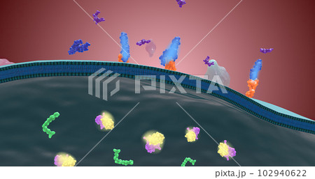 Platelet activation and aggregation play an important role in occlusive vascular events 102940622