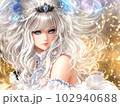 輝く王国のプリンセスのイラスト 102940688