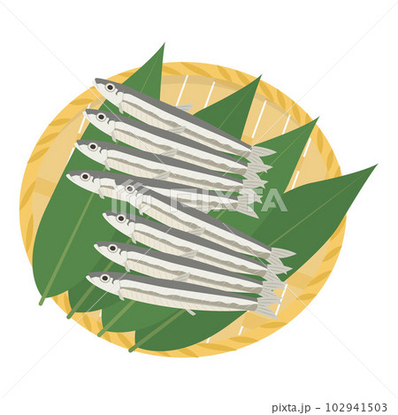 きびなごのイラスト 102941503