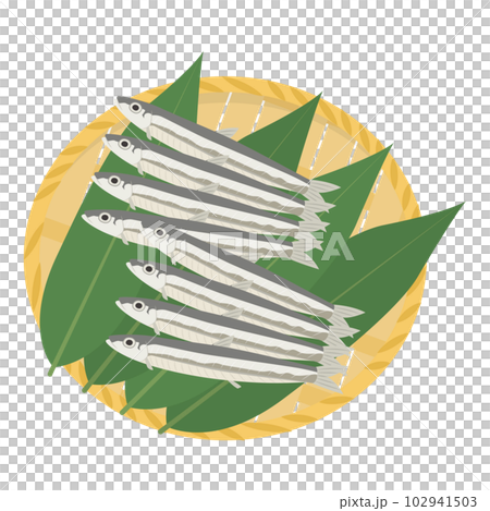 きびなごのイラスト 102941503