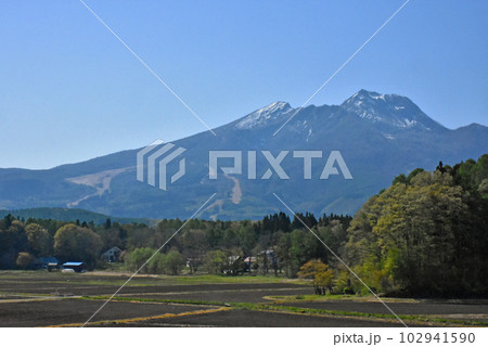 春の妙高山 国道18号からの眺め 春の妙高山 国道18号からの眺め 102941590