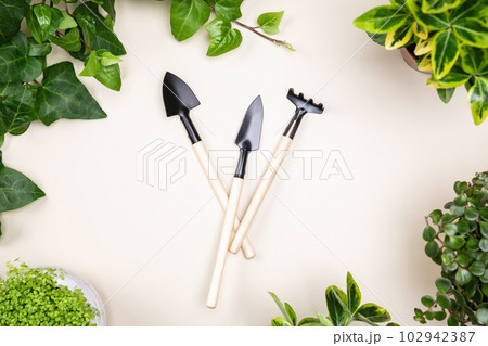 Gardening tools rake, spade on white desk background with home green plants Gardening tools rake, spade on white desk background with home green plants 102942387