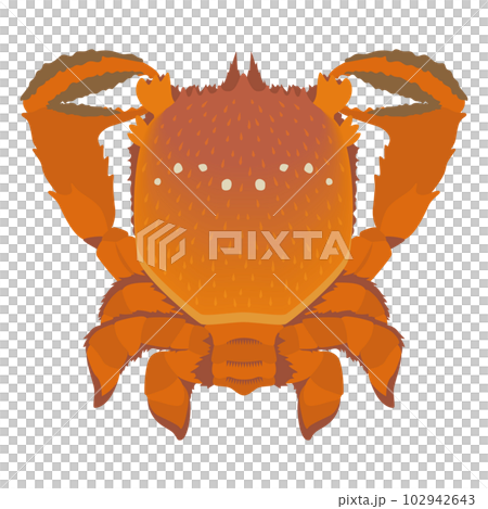 Asahi crab illustration Asahi crab illustration 102942643