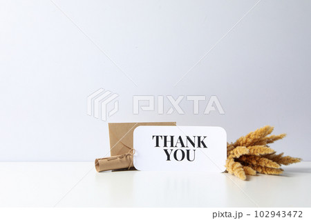 Words of gratitude, gratitude concept, text Thank you 102943472