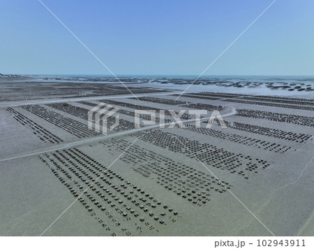 Aerial view of Oyster farm. Sustainable farming. Oyster farming is an aquaculture practice. Oyster farming at Ang Sila town, Chonburi, Thailand. Landscape oyster beds at low tide on summer sunny day. 102943911