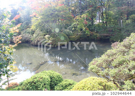 水辺に生い茂る植栽 日本庭園 日光山輪王寺逍遥園 102944644