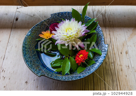 京都嵯峨嵐山の夏 緑豊かな二尊院 花鉢 京都嵯峨嵐山の夏 緑豊かな二尊院 花鉢 102944928