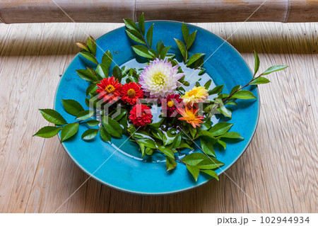 京都嵯峨嵐山の夏　緑豊かな二尊院　花鉢 102944934