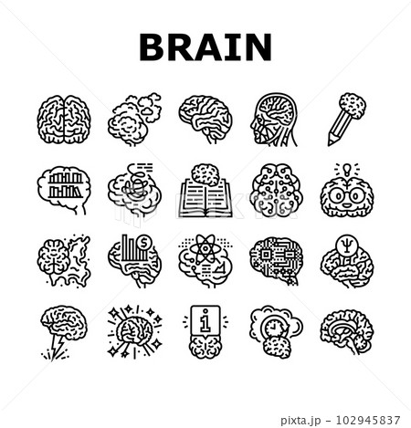 brain human mind head idea icons set vectorのイラスト素材 [102945837] - PIXTA