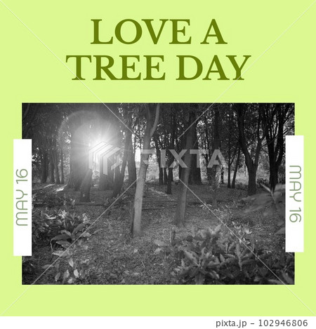 Composition of love a tree day text and forest on green background 102946806