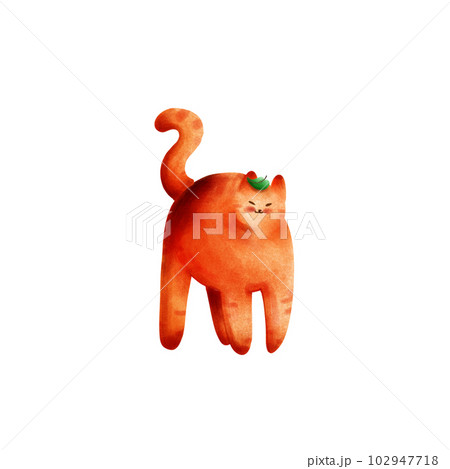 orange cat. orange cat. 102947718