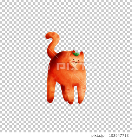 orange cat. orange cat. 102947718