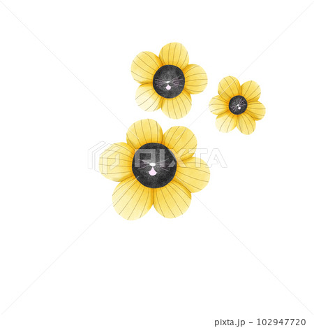 yellow cats flower. 102947720