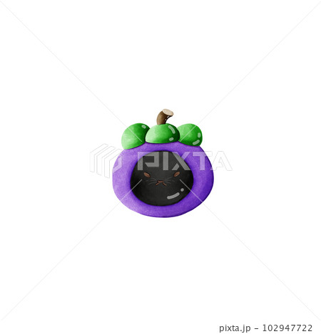 mangosteen cat. 102947722