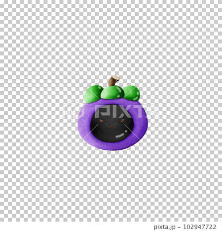 mangosteen cat. 102947722