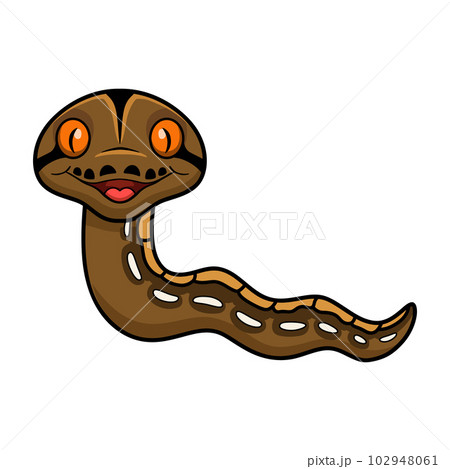 Cute tiger reticulatus python cartoon Cute tiger reticulatus python cartoon 102948061