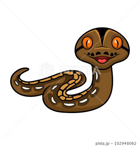 Cute tiger reticulatus python cartoon 102948062