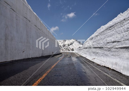 黒部立山アルペンルート　立山室堂　雪の大谷 102949944