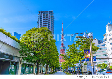 日本の東京都市景観 東京タワー。赤羽橋南の交差点や東京タワーなどを望む＝18日 102950151