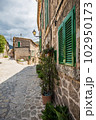 Street in the old town of Mallorca, Alcudia 102950173