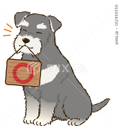 丸マークを描いた看板を咥えるシュナウザー（ソルトアンドペッパー） 102950550