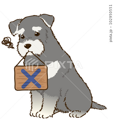 バツマークを咥えるシュナウザー(ソルトアンドペッパー) バツマークを咥えるシュナウザー(ソルトアンドペッパー) 102950551