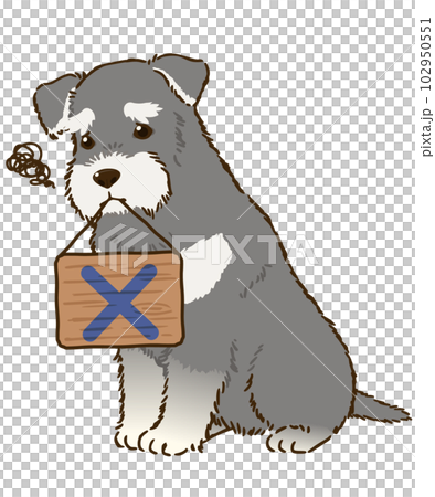 バツマークを咥えるシュナウザー(ソルトアンドペッパー) バツマークを咥えるシュナウザー(ソルトアンドペッパー) 102950551