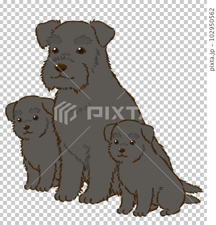 雪納瑞親子(黑色) 雪納瑞親子(黑色) 102950562