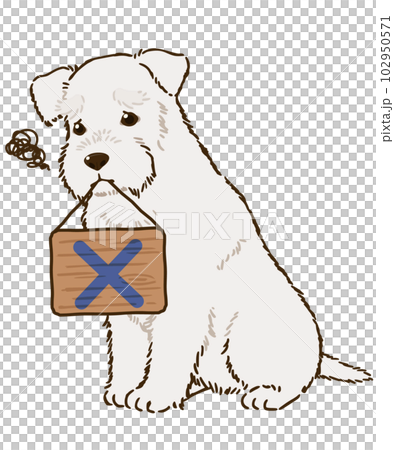 バツマークを咥えるシュナウザー(白) バツマークを咥えるシュナウザー(白) 102950571