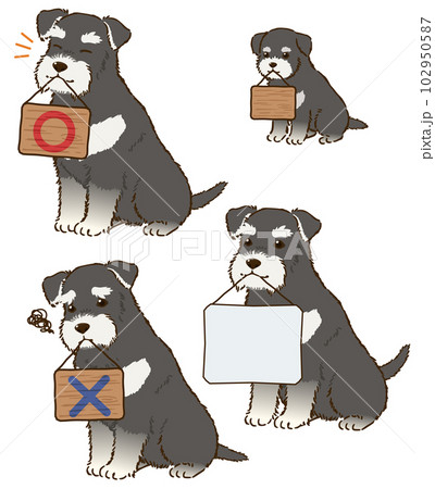 看板を咥えるシュナウザー（ブラックアンドシルバー） 102950587
