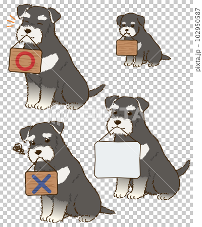 看板を咥えるシュナウザー（ブラックアンドシルバー） 102950587