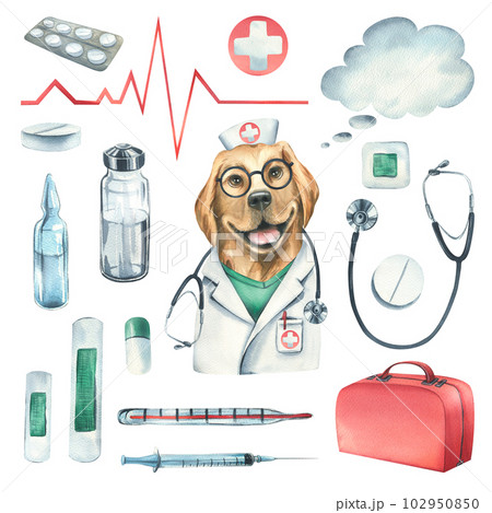 Dog doctor in a dressing gown, glasses, with a stethoscope, a suitcase and medical instruments, pills, injections. Watercolor illustration, hand drawn. Set isolated on white background. 102950850
