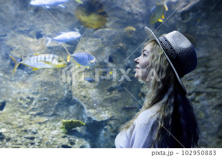 A young woman touches a stingray fish in an oceanarium tunnel 102950883