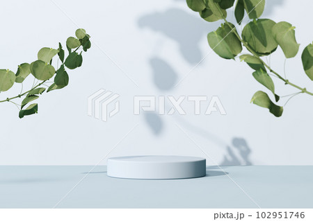 3D rendering Mock up greenery podium for product design, minimal display. shadow overlay. 102951746