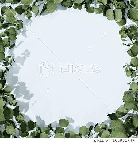 3D rendering Mock up greenery podium for product design, minimal display. shadow overlay. 3D rendering Mock up greenery podium for product design, minimal display. shadow overlay. 102951747