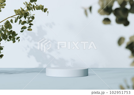 3D rendering Mock up greenery podium for product design, minimal display. shadow overlay. 3D rendering Mock up greenery podium for product design, minimal display. shadow overlay. 102951753