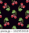 Cherry pattern. Vector illustration cherry, cherry leaves, which are located in a dark background. 102953018