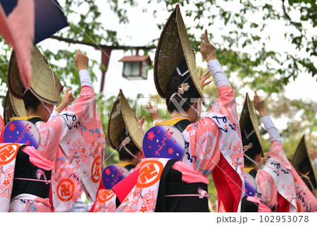 阿波踊り　春の祭典「徳島城　阿波踊り」　有名連の女踊り 102953078