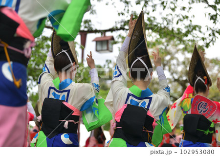 阿波踊り 春の祭典「徳島城 阿波踊り」 有名連の女踊り 阿波踊り 春の祭典「徳島城 阿波踊り」 有名連の女踊り 102953080