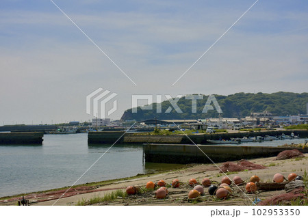 愛知県南知多町 豊浜漁港 愛知県南知多町 豊浜漁港 102953350