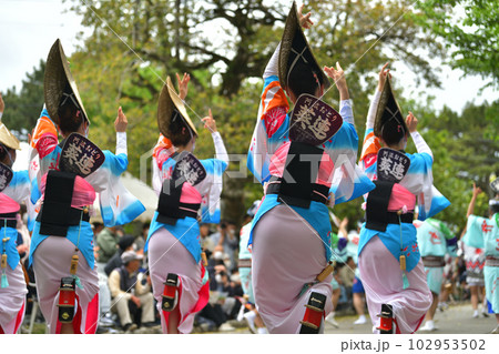 阿波踊り　春の祭典「徳島城　阿波踊り」　有名連の女踊り 102953502