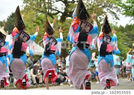 阿波踊り 春の祭典「徳島城 阿波踊り」 有名連の女踊り 阿波踊り 春の祭典「徳島城 阿波踊り」 有名連の女踊り 102953503