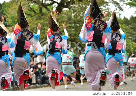 阿波踊り　春の祭典「徳島城　阿波踊り」　有名連の女踊り 102953504