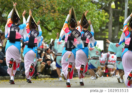 阿波踊り 春の祭典「徳島城 阿波踊り」 有名連の女踊り 阿波踊り 春の祭典「徳島城 阿波踊り」 有名連の女踊り 102953515