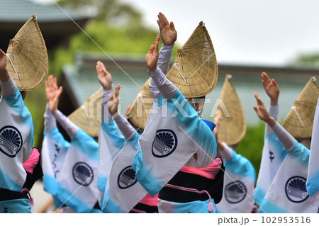 阿波踊り 春の祭典「徳島城 阿波踊り」 有名連の女踊り 阿波踊り 春の祭典「徳島城 阿波踊り」 有名連の女踊り 102953516