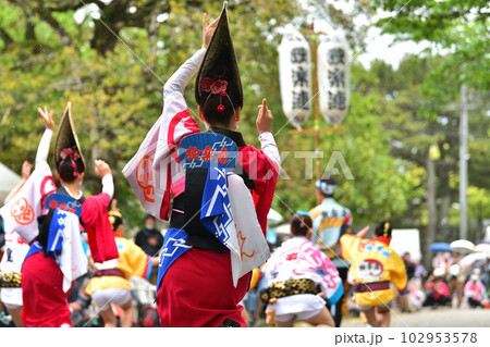 阿波踊り 春の祭典「徳島城 阿波踊り」 有名連の女踊り 阿波踊り 春の祭典「徳島城 阿波踊り」 有名連の女踊り 102953578
