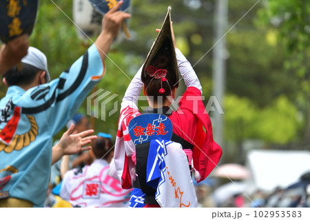 阿波踊り 春の祭典「徳島城 阿波踊り」 有名連の女踊り 阿波踊り 春の祭典「徳島城 阿波踊り」 有名連の女踊り 102953583