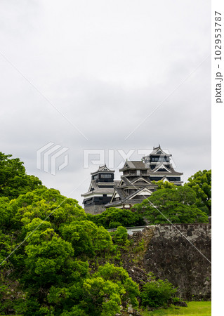 新緑と熊本城の風景 新緑と熊本城の風景 102953787